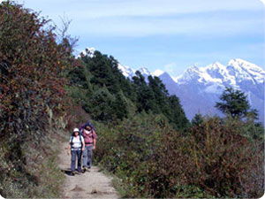 Langtang Club Adventure Tour