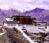 Tibet