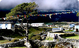 Timal Trekking